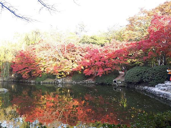 20171106_161852_看图王.JPG 20171106_161852_看图王.JPG