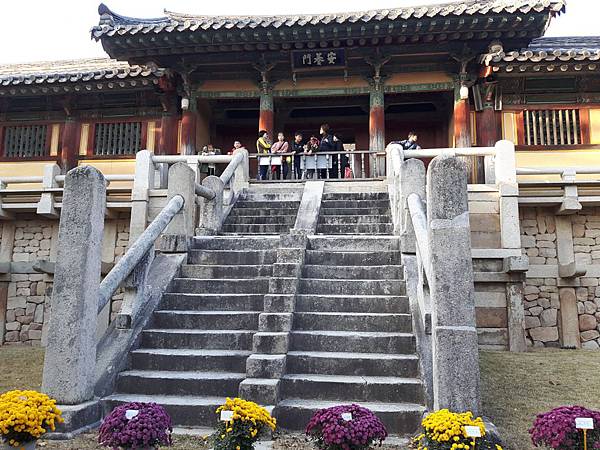 20171106_163155_看图王.JPG 20171106_163155_看图王.JPG