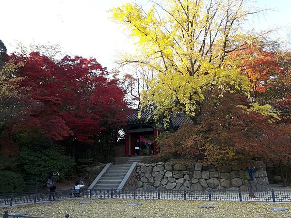 20171106_163418_看图王.JPG 20171106_163418_看图王.JPG