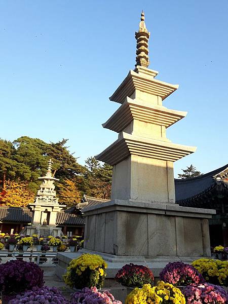 20171106_163734_看图王.JPG 20171106_163734_看图王.JPG