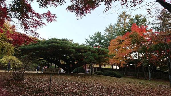 1510409380748_看图王.JPG 1510409380748_看图王.JPG