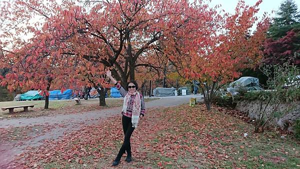 1510409458888_看图王.JPG 1510409458888_看图王.JPG