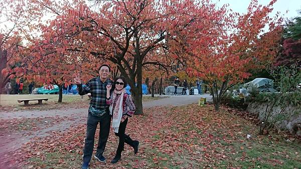 1510409460636_看图王.JPG 1510409460636_看图王.JPG