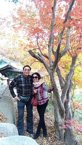 1510413855990_看图王_看图王.JPG 1510413855990_看图王_看图王.JPG