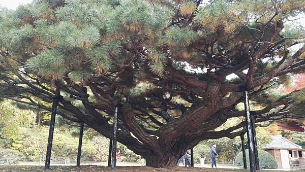 1510414165612_看图王.JPG 1510414165612_看图王.JPG