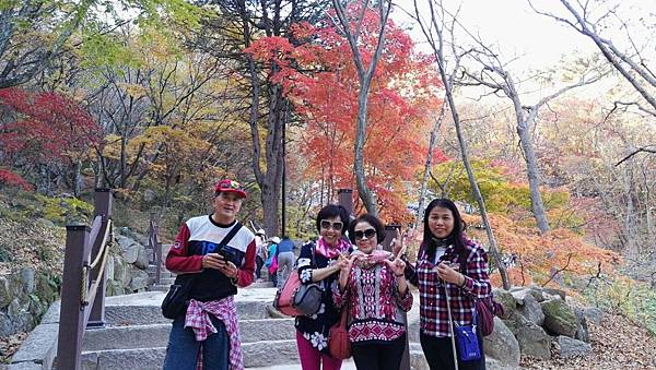 1510414482637_看图王.JPG 1510414482637_看图王.JPG