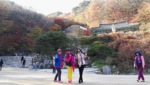 1510414573383_看图王.JPG 1510414573383_看图王.JPG