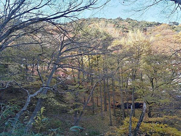 1510414602488_看图王.JPG 1510414602488_看图王.JPG