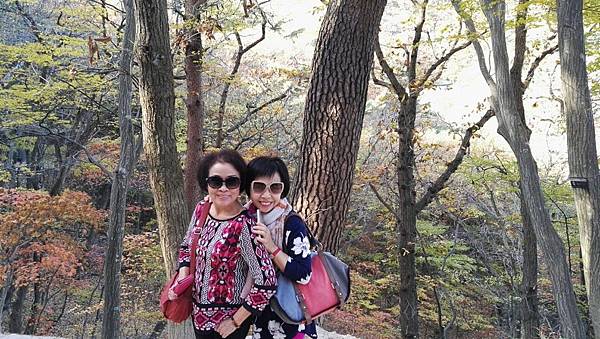 1510414606930_看图王.JPG 1510414606930_看图王.JPG