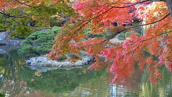 1510414842651_看图王.JPG 1510414842651_看图王.JPG