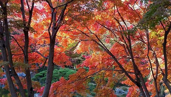 1510414846637_看图王.JPG 1510414846637_看图王.JPG