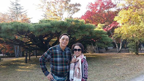 1510457554975_看图王.JPG 1510457554975_看图王.JPG