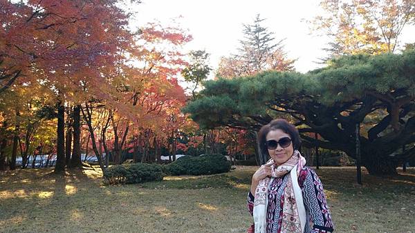 1510457560040_看图王.JPG 1510457560040_看图王.JPG