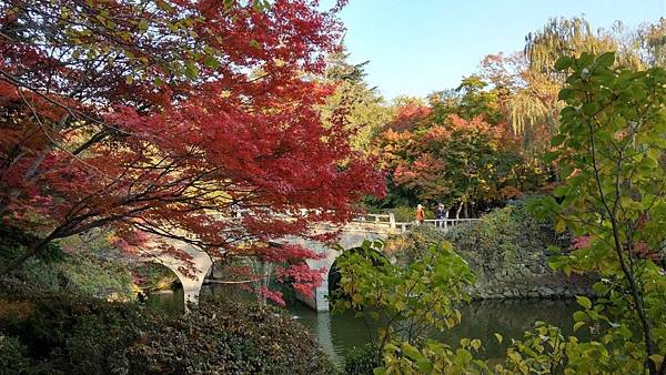 1510457589621_看图王.JPG 1510457589621_看图王.JPG