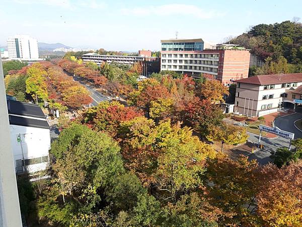 20171107_085429_看图王.JPG 20171107_085429_看图王.JPG