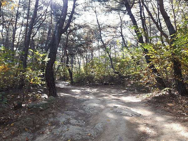 20171107_114712_看图王.JPG 20171107_114712_看图王.JPG