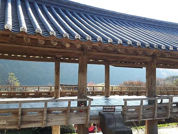 20171107_125145_看图王.JPG 20171107_125145_看图王.JPG