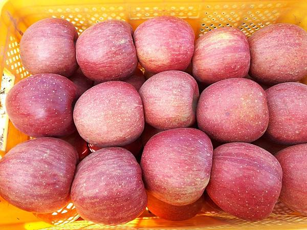 20171107_151224_看图王.JPG 20171107_151224_看图王.JPG