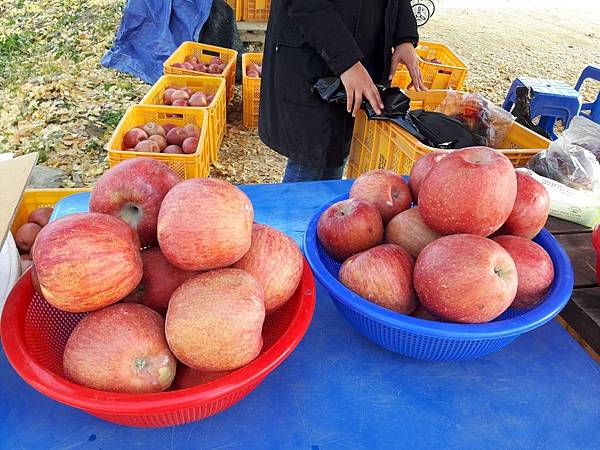 20171107_151234_看图王.JPG 20171107_151234_看图王.JPG