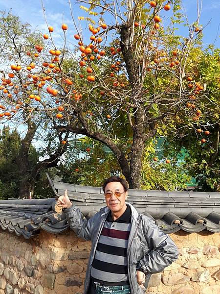 20171107_152619_看图王.JPG 20171107_152619_看图王.JPG