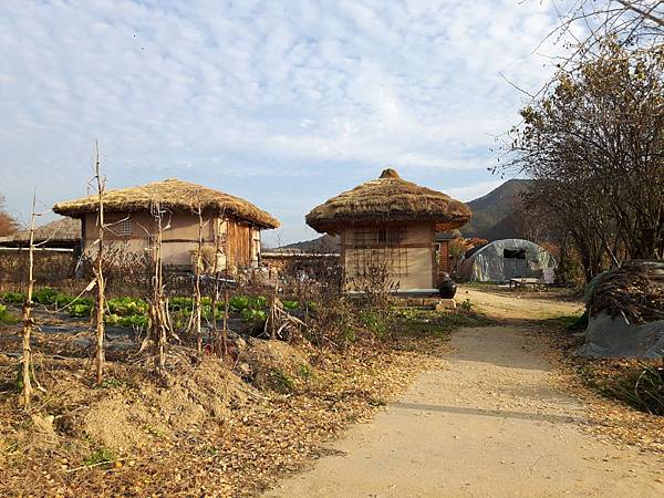 20171107_160050_看图王.JPG 20171107_160050_看图王.JPG