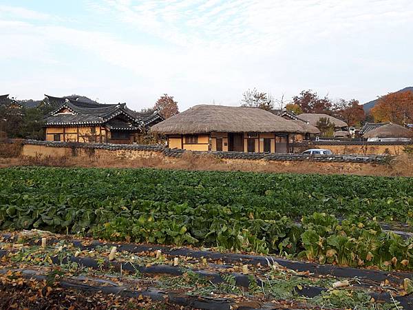 20171107_161051_看图王.JPG 20171107_161051_看图王.JPG