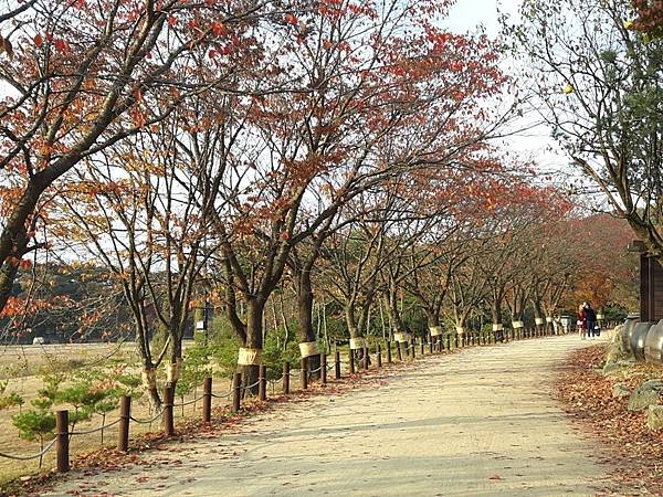 20171107_161347_看图王.JPG 20171107_161347_看图王.JPG