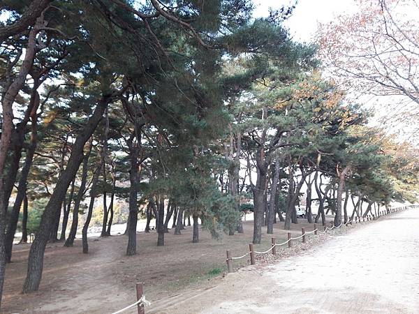 20171107_161911_看图王.JPG 20171107_161911_看图王.JPG