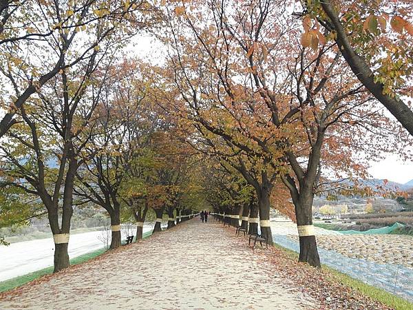 20171107_162359_看图王.JPG 20171107_162359_看图王.JPG