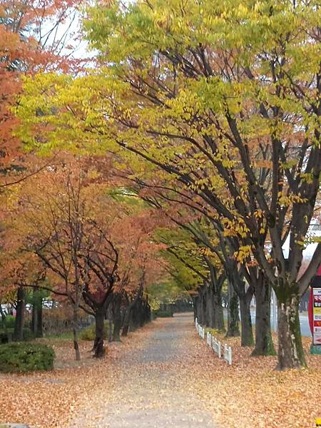 1510408277696_看图王.JPG 1510408277696_看图王.JPG