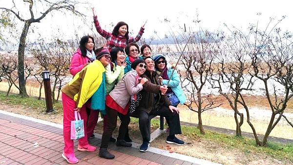 1510408676002_看图王_看图王.JPG 1510408676002_看图王_看图王.JPG