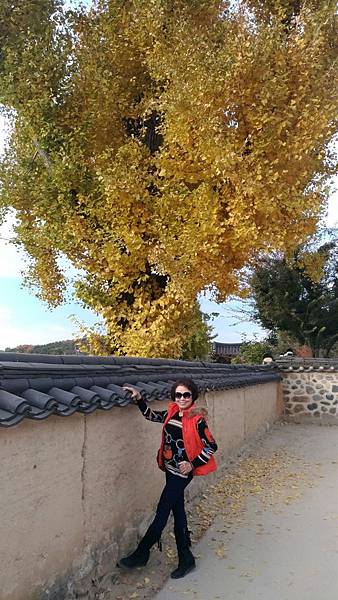 1510408985203_看图王.JPG 1510408985203_看图王.JPG