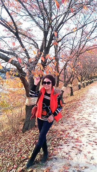 1510409028100_看图王_看图王.JPG 1510409028100_看图王_看图王.JPG