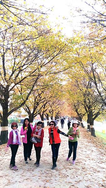 1510409122372_看图王_看图王.JPG 1510409122372_看图王_看图王.JPG