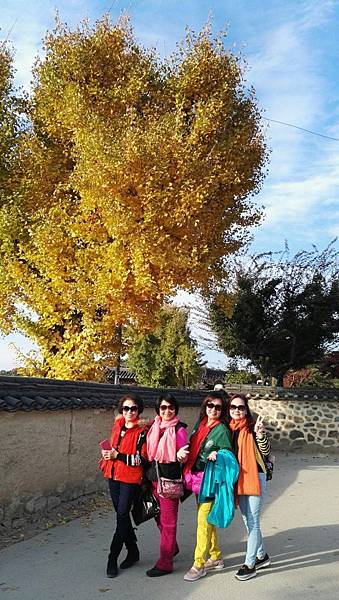 1510409844389_看图王.JPG 1510409844389_看图王.JPG