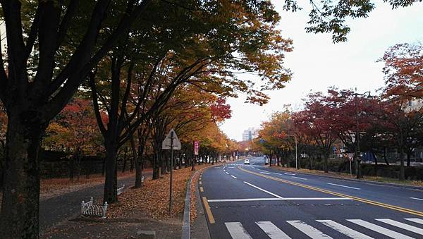 1510413197058_看图王.JPG 1510413197058_看图王.JPG