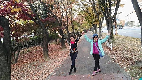 1510413290650_看图王.JPG 1510413290650_看图王.JPG