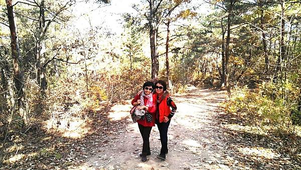 1510413384609_看图王_看图王.JPG 1510413384609_看图王_看图王.JPG