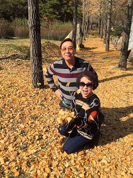 1510413608472_看图王.JPG 1510413608472_看图王.JPG