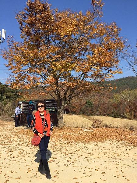 1510413624601_看图王.JPG 1510413624601_看图王.JPG