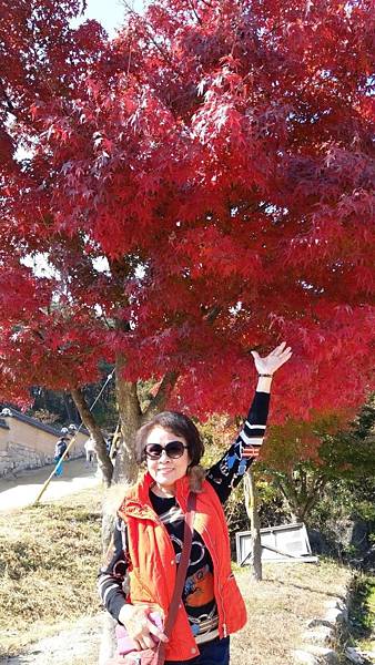 1510457794828_看图王.JPG 1510457794828_看图王.JPG