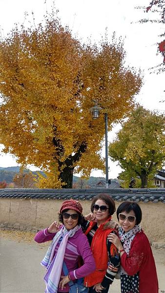 1510457963309_看图王.JPG 1510457963309_看图王.JPG