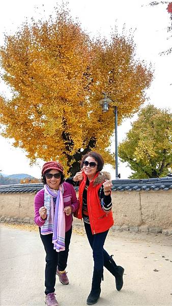 1510457961111_看图王_看图王.JPG 1510457961111_看图王_看图王.JPG