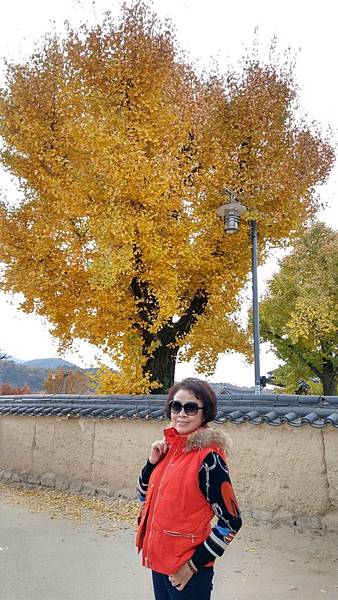 1510457969797_看图王.JPG 1510457969797_看图王.JPG