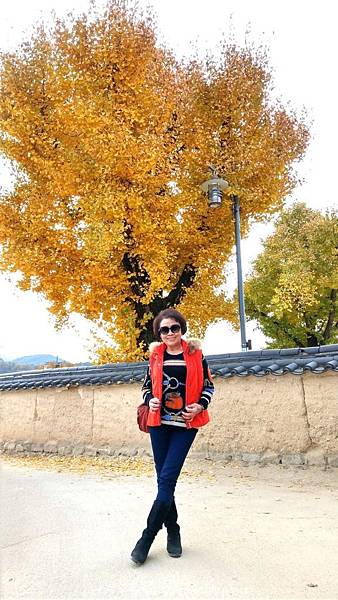 1510457971796_看图王_看图王.JPG 1510457971796_看图王_看图王.JPG