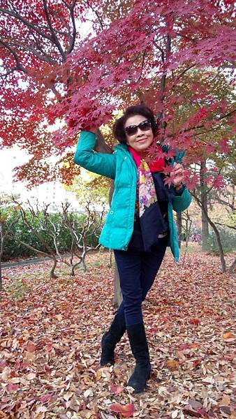 1510471500247_看图王.JPG 1510471500247_看图王.JPG