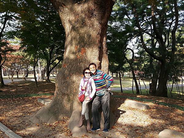 1510410475574_看图王.jpg 1510410475574_看图王.jpg