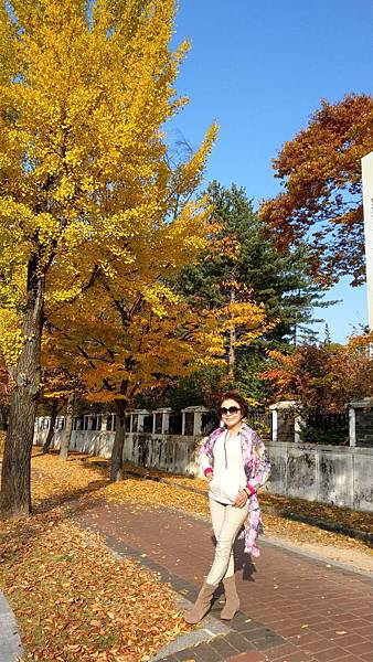 1510458241467_看图王.jpg 1510458241467_看图王.jpg