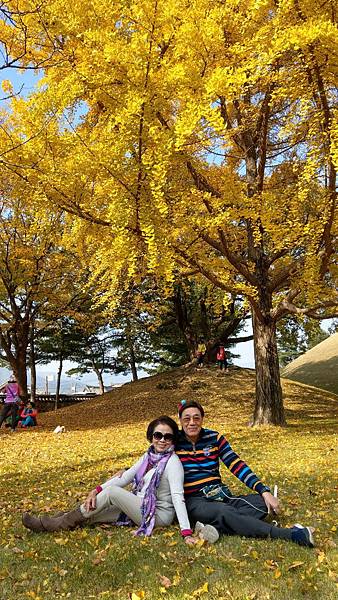 1510458475443_看图王.jpg 1510458475443_看图王.jpg