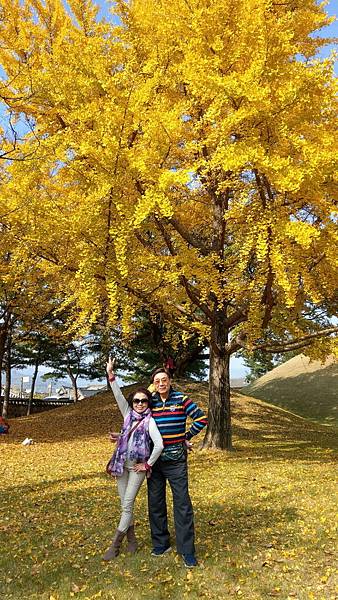 1510458467775_看图王.jpg 1510458467775_看图王.jpg